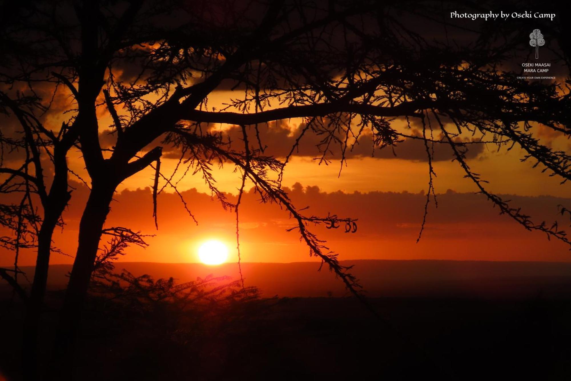 Oseki Maasai Mara Camp Otel Narok Dış mekan fotoğraf