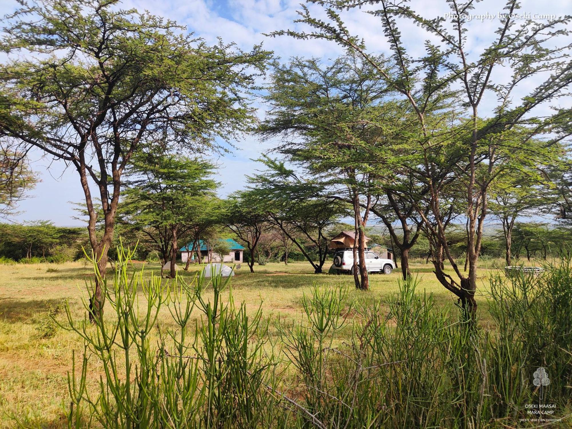 Oseki Maasai Mara Camp Otel Narok Dış mekan fotoğraf