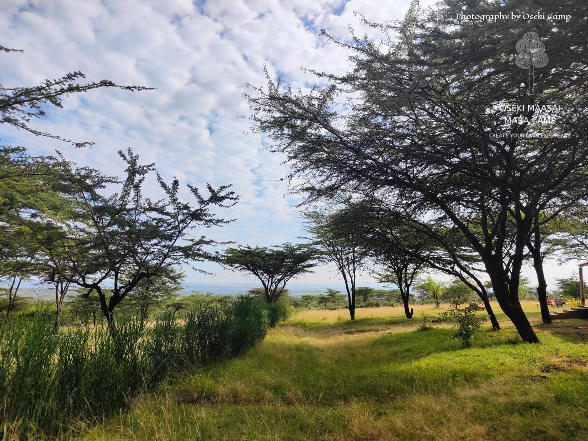 Oseki Maasai Mara Camp Otel Narok Dış mekan fotoğraf